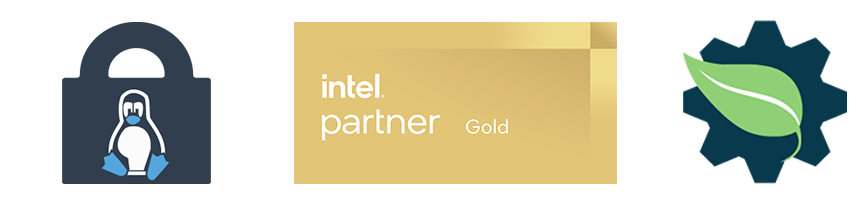 Intel Gold Partner